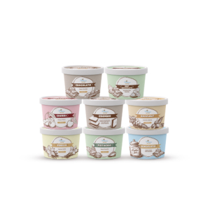 THE VARIETY BOX (8 x 100ML Mini Tubs)